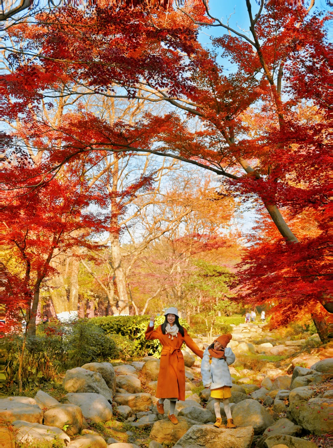 青岛6个此时此刻超美的深秋童话！