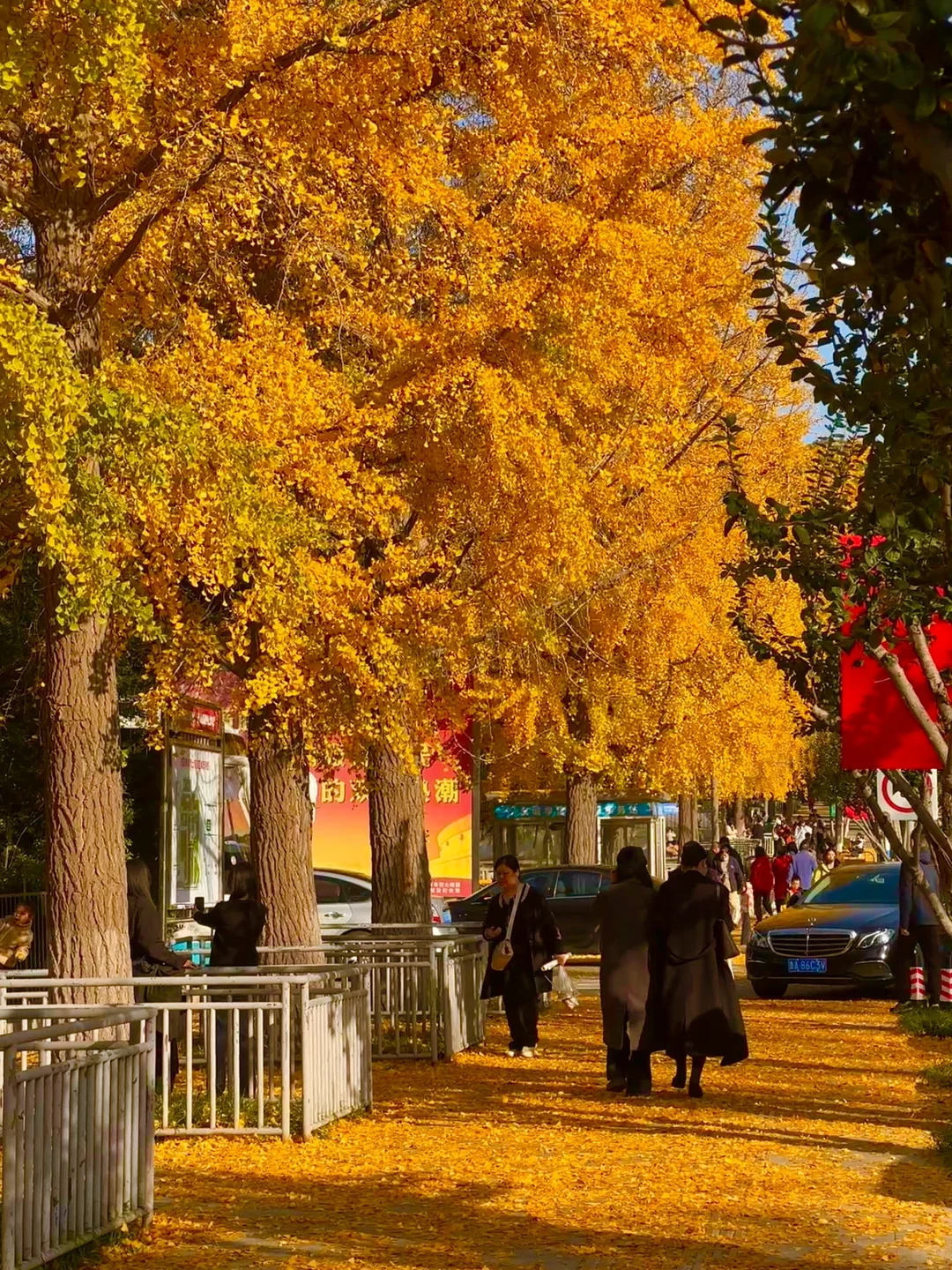 济南今天杀疯了啊！！！！！！！！！！！！！！！！