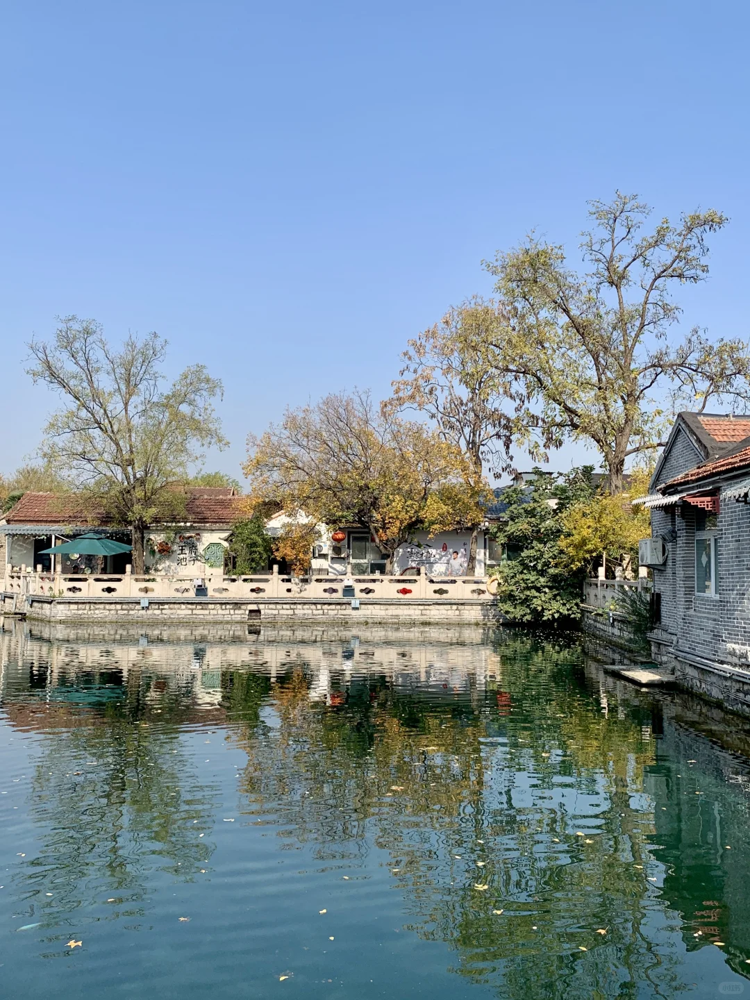 济南的冬天太美丽了