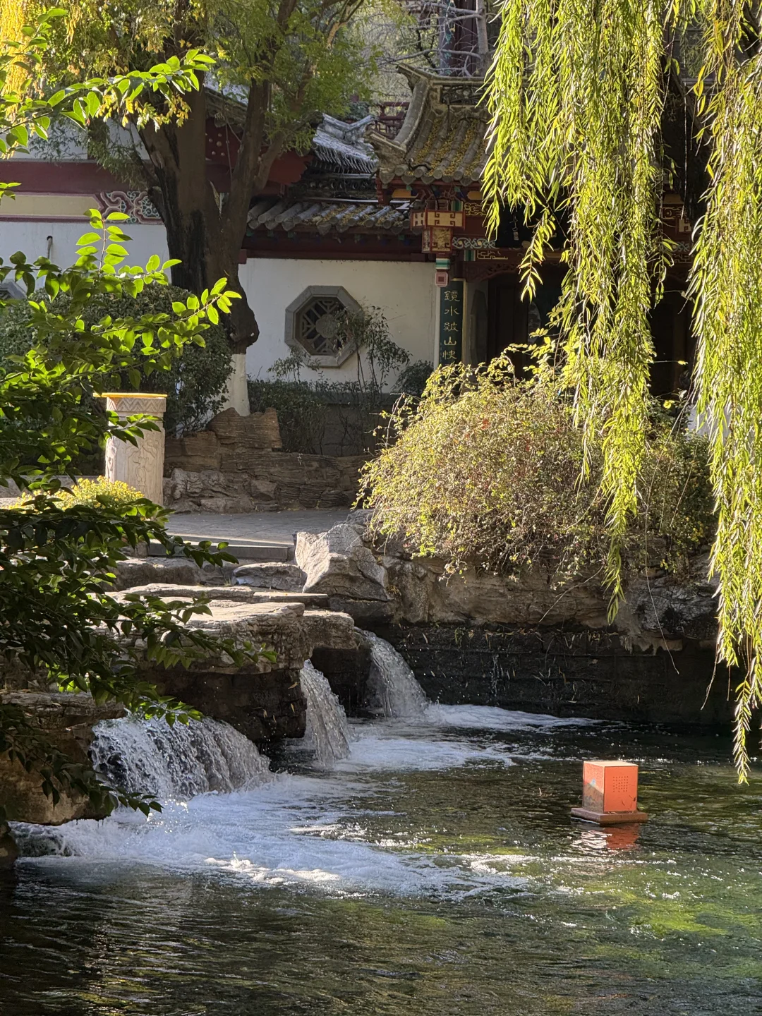 济南Day1，11.27趵突泉