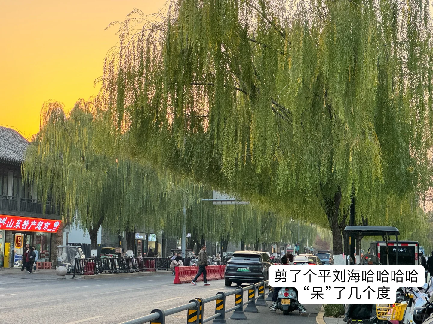 济南的柳树剪了个刘海哈哈哈哈