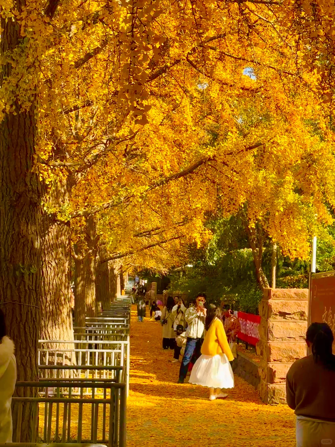 济南今天杀疯了啊！！！！！！！！！！！！！！！！