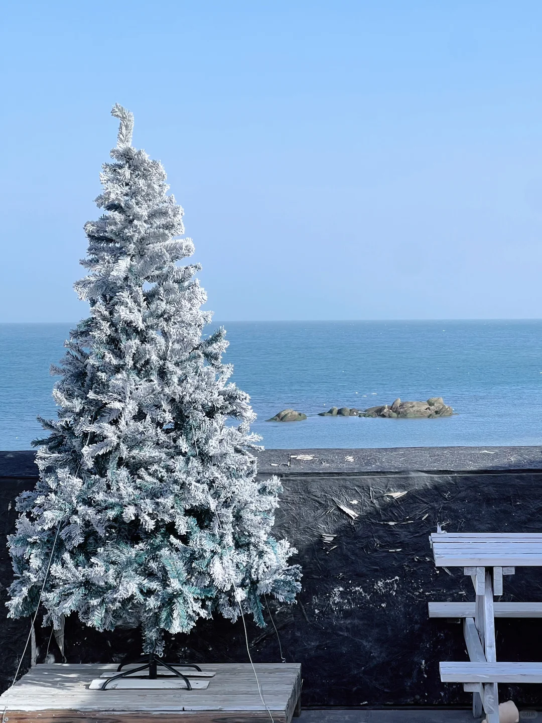 ohmo 青岛有自己的济州岛˖𓇼⋆🐚