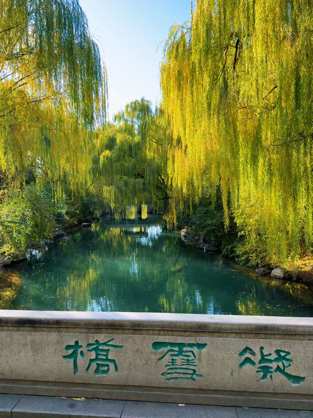 大明湖四象限景色正当时🍂（附位置）