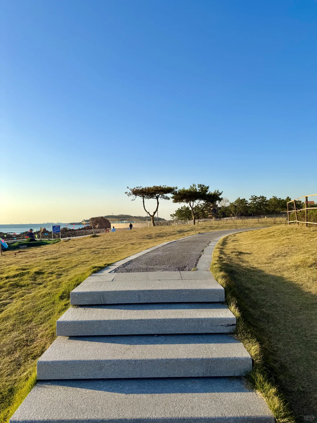 🌊我又又又喜欢上一条青岛冬天sea walk路线