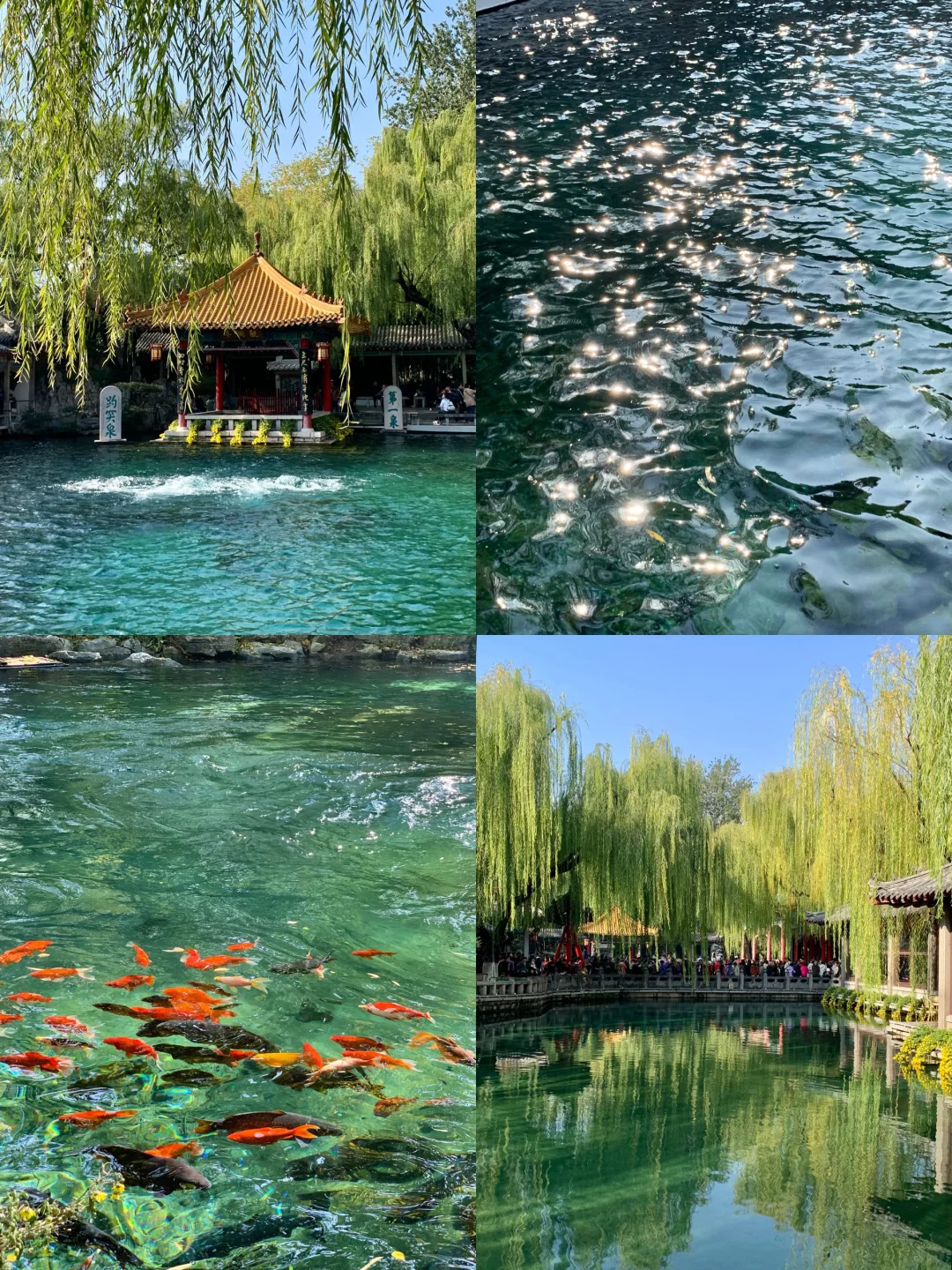 济南的冬天太美丽了