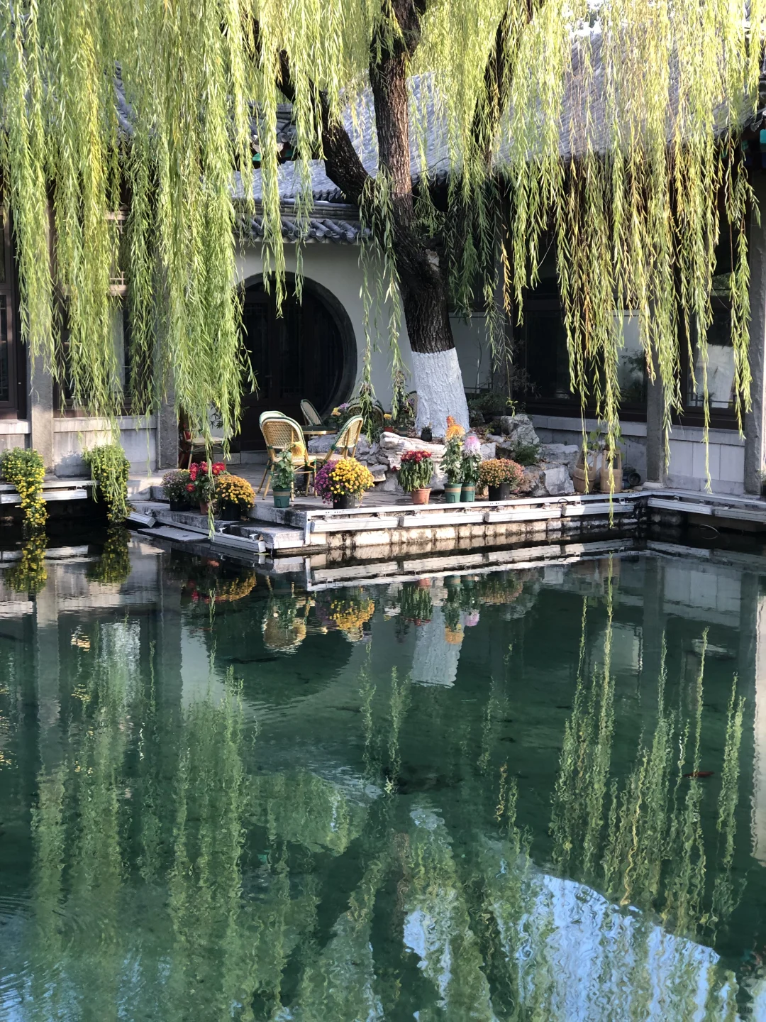 来济南啦 | 在趵突泉看小桥流水人家！