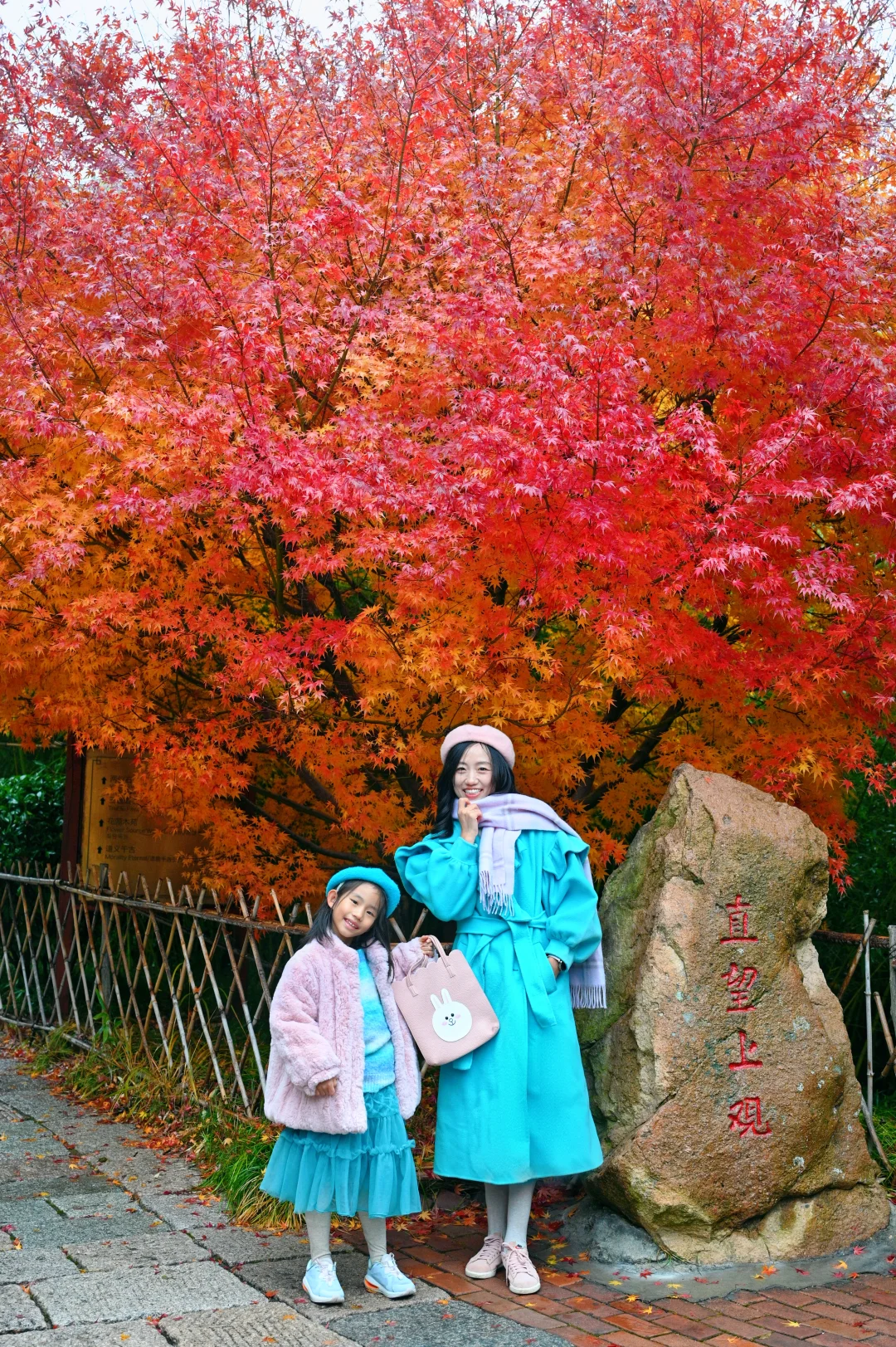 青岛6个此时此刻超美的深秋童话！