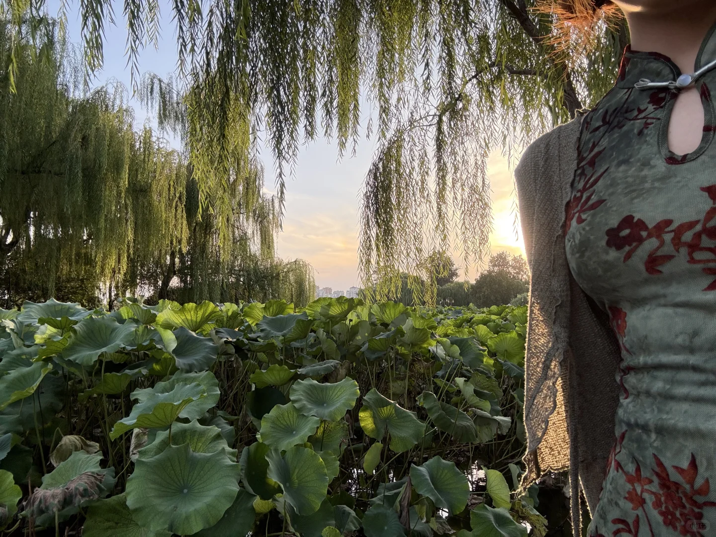 济南济南 周末小逛🪷