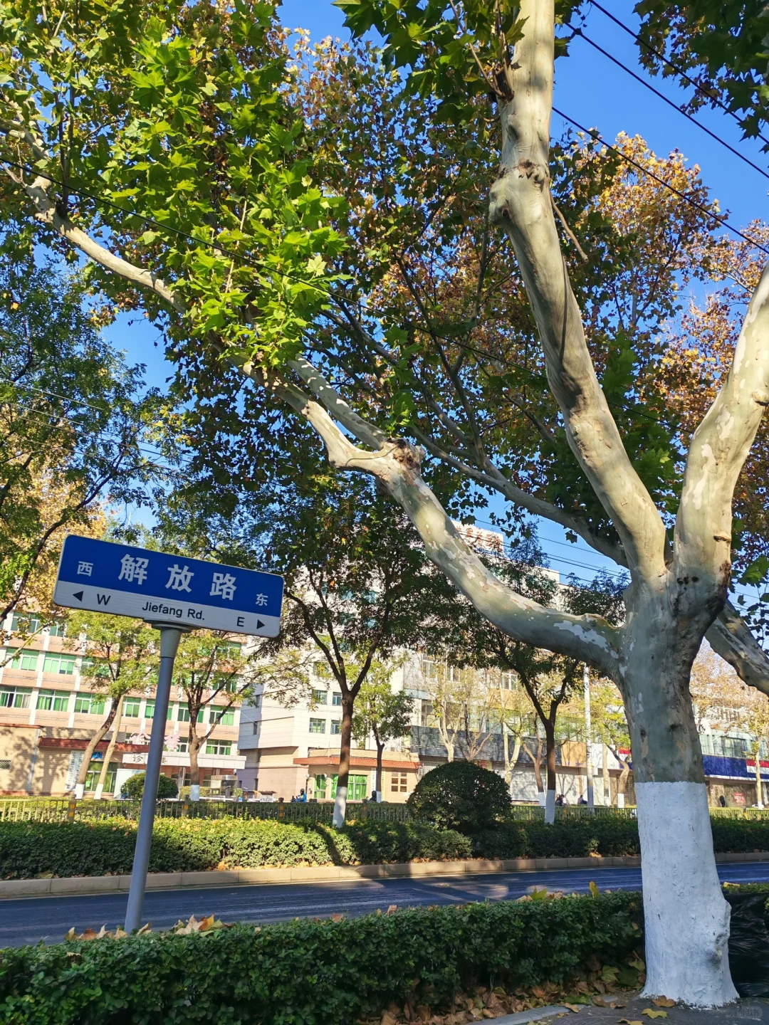 济南的冬天❄️