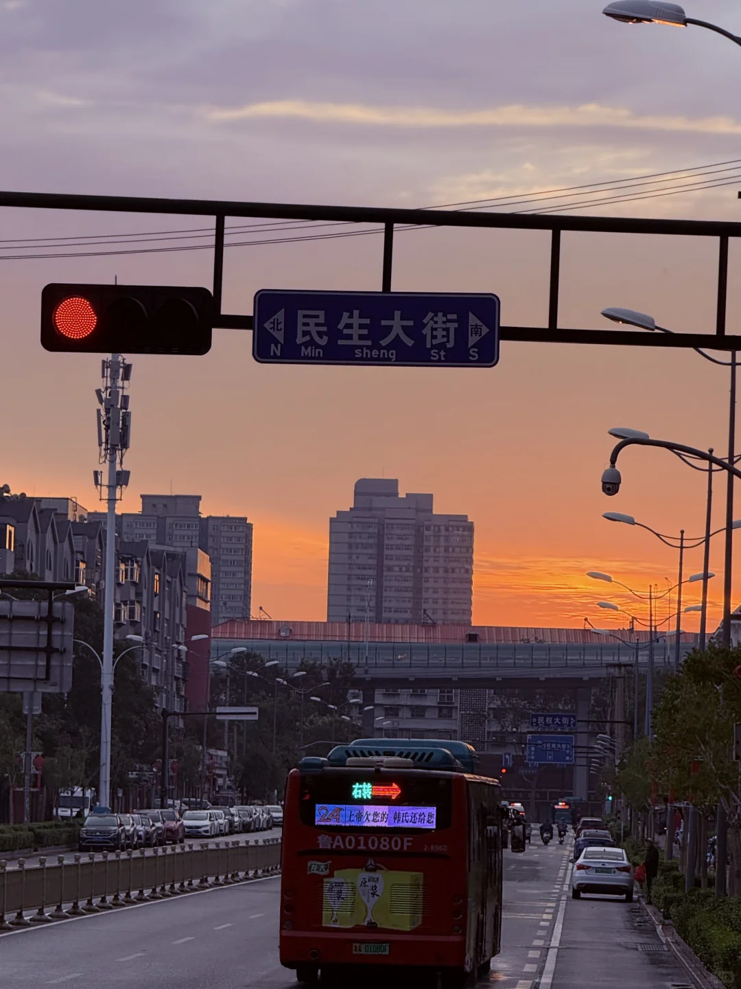 济南济南 周末小逛🪷