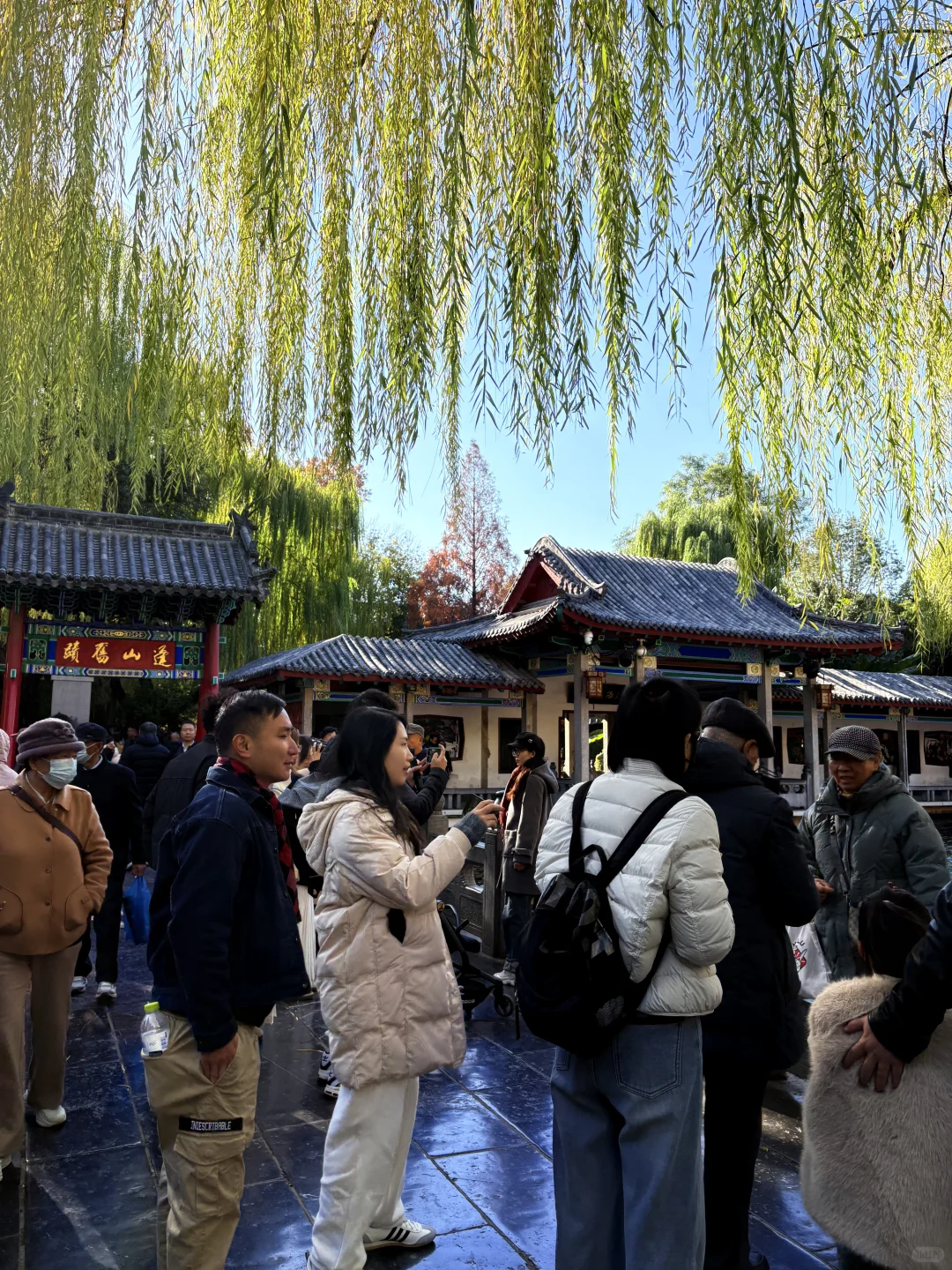 11.27 趵突泉人不多🉑冲