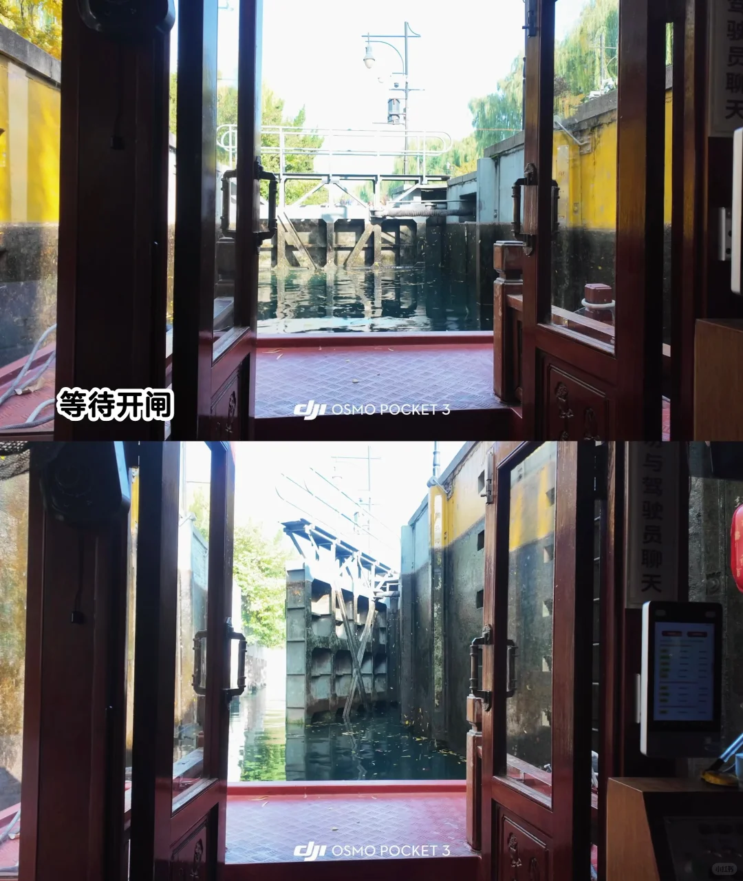 🍂请北京小孩周末都去济南赏秋！行程分享🔛