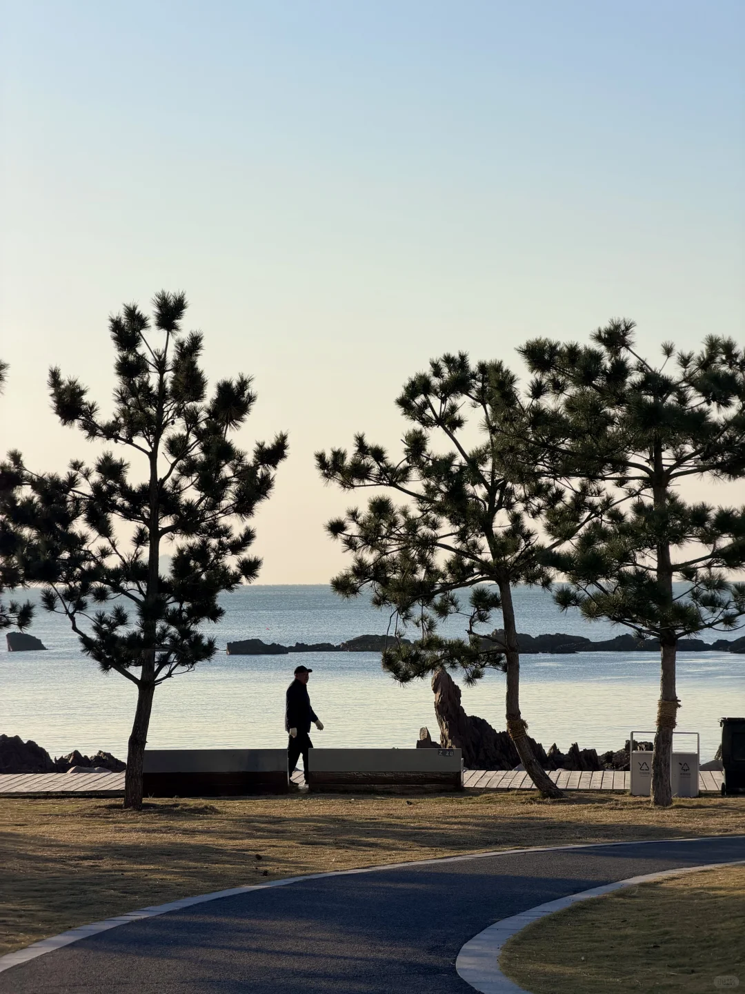 🌊我又又又喜欢上一条青岛冬天sea walk路线