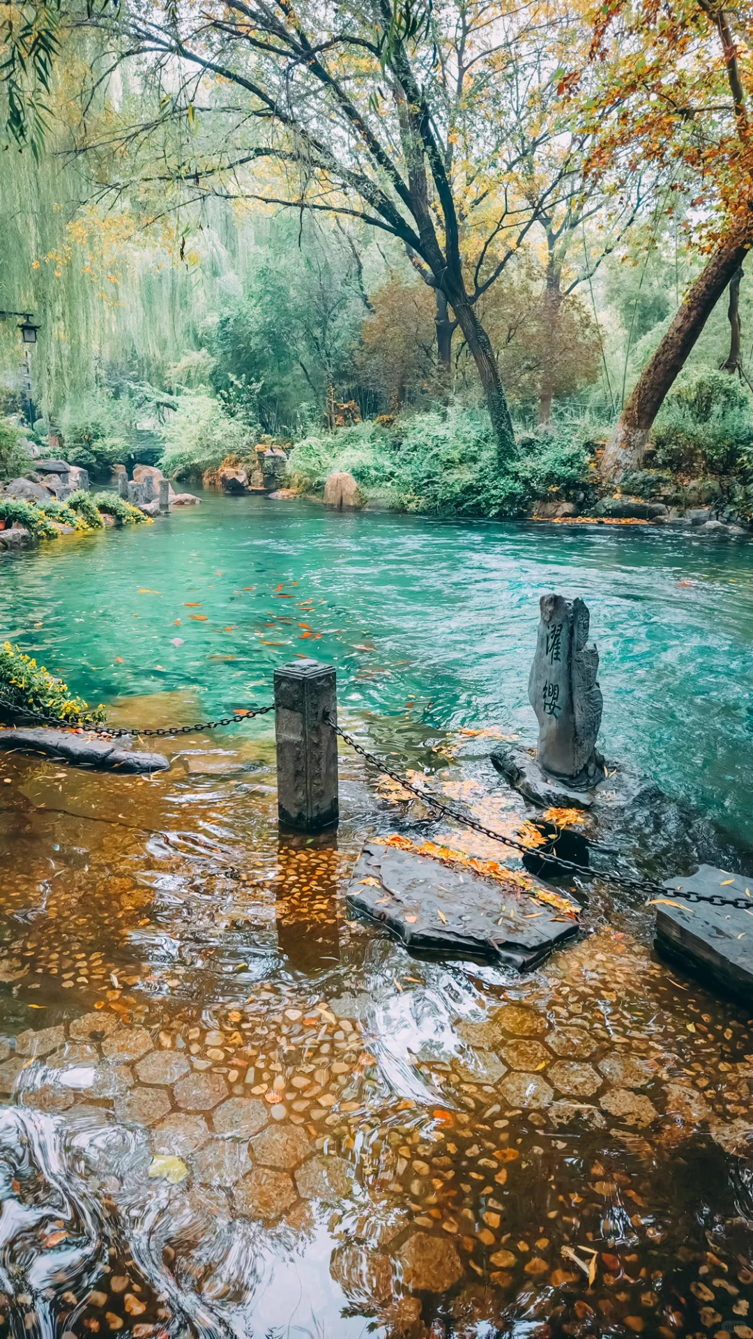 在老舍笔下的济南，拍到了秋日画卷