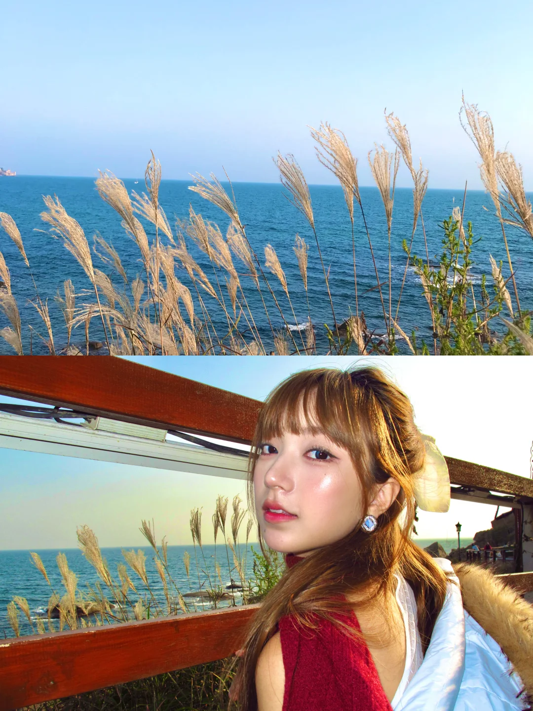 在小韩青岛 当冬日岛民🫧🐚