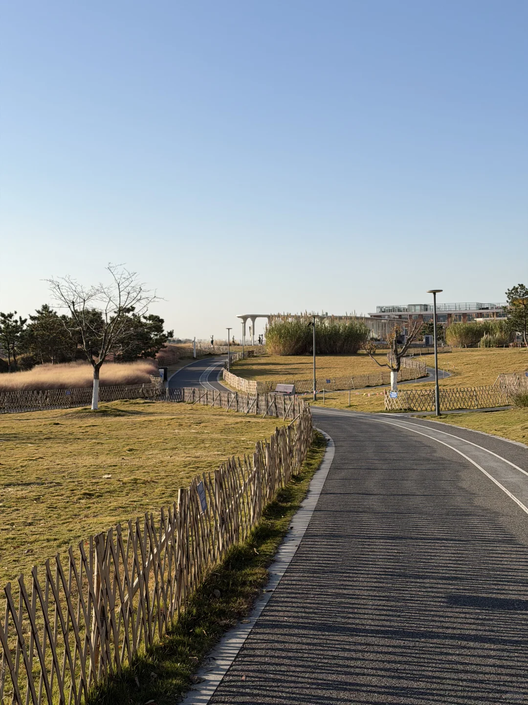 🌊我又又又喜欢上一条青岛冬天sea walk路线