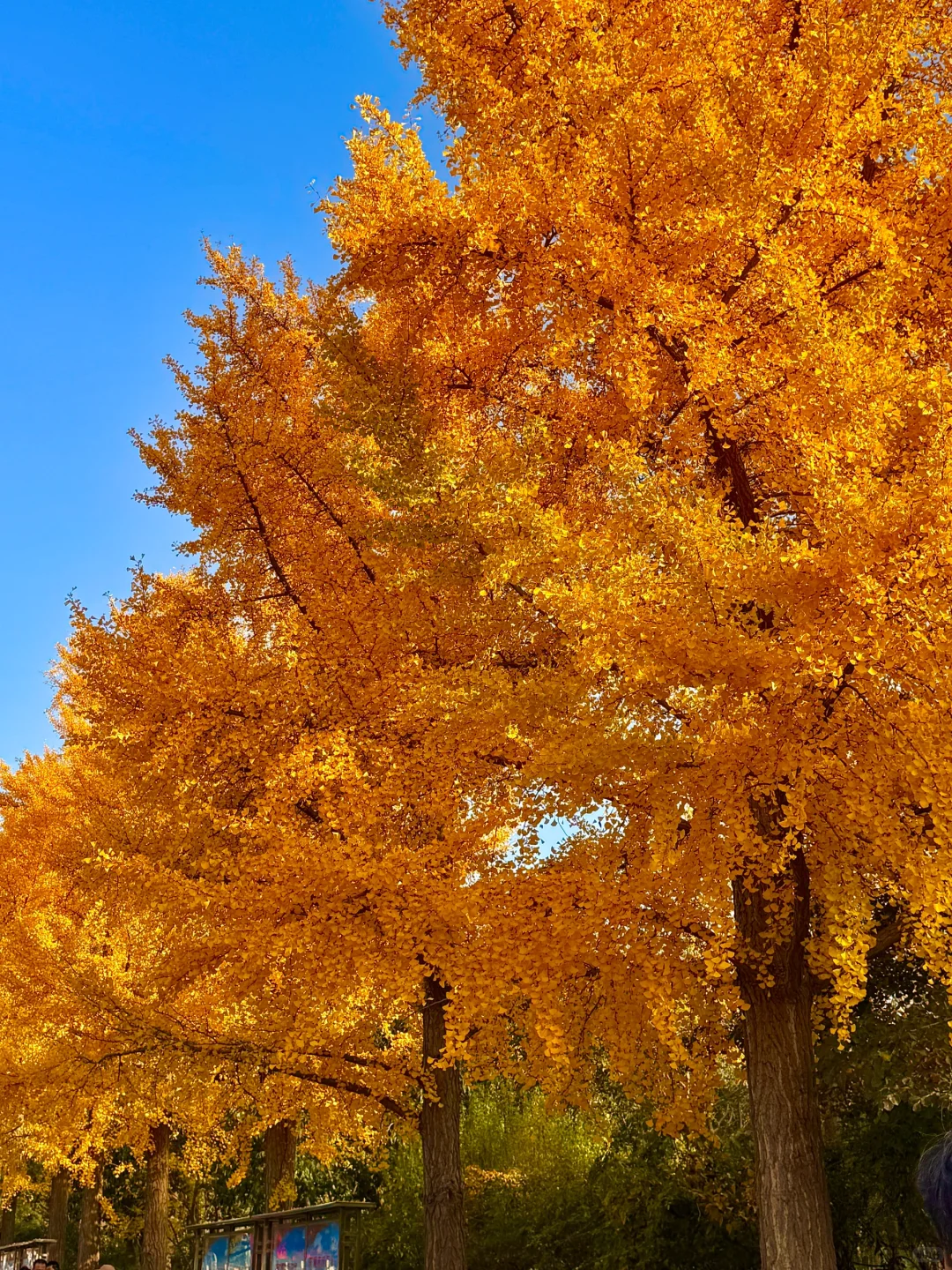 济南今天杀疯了啊！！！！！！！！！！！！！！！！