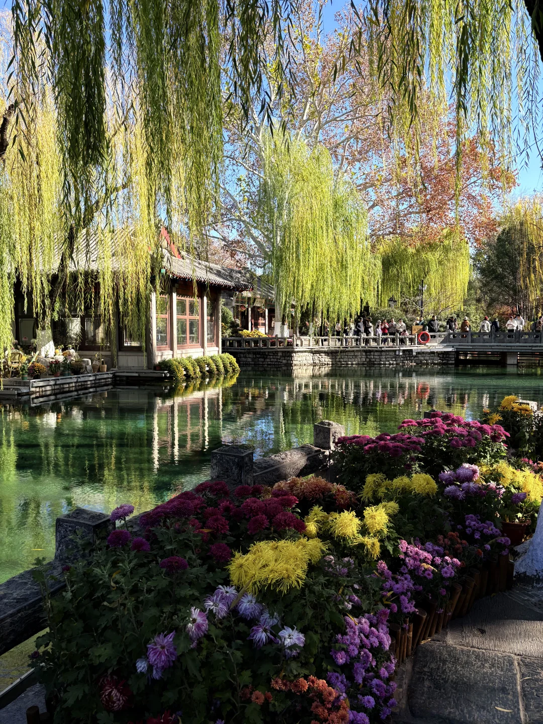 11.27 趵突泉人不多🉑冲