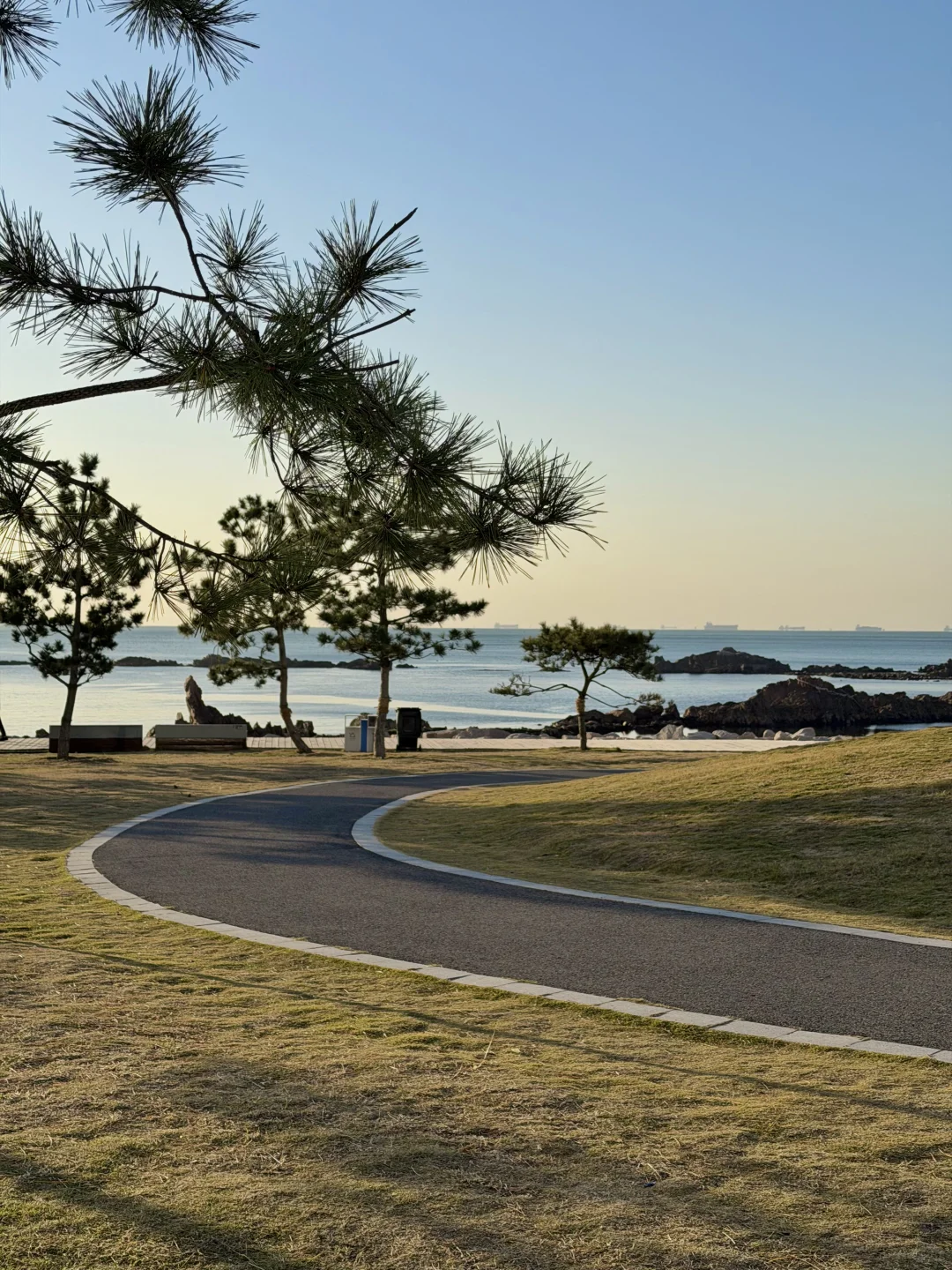 🌊我又又又喜欢上一条青岛冬天sea walk路线