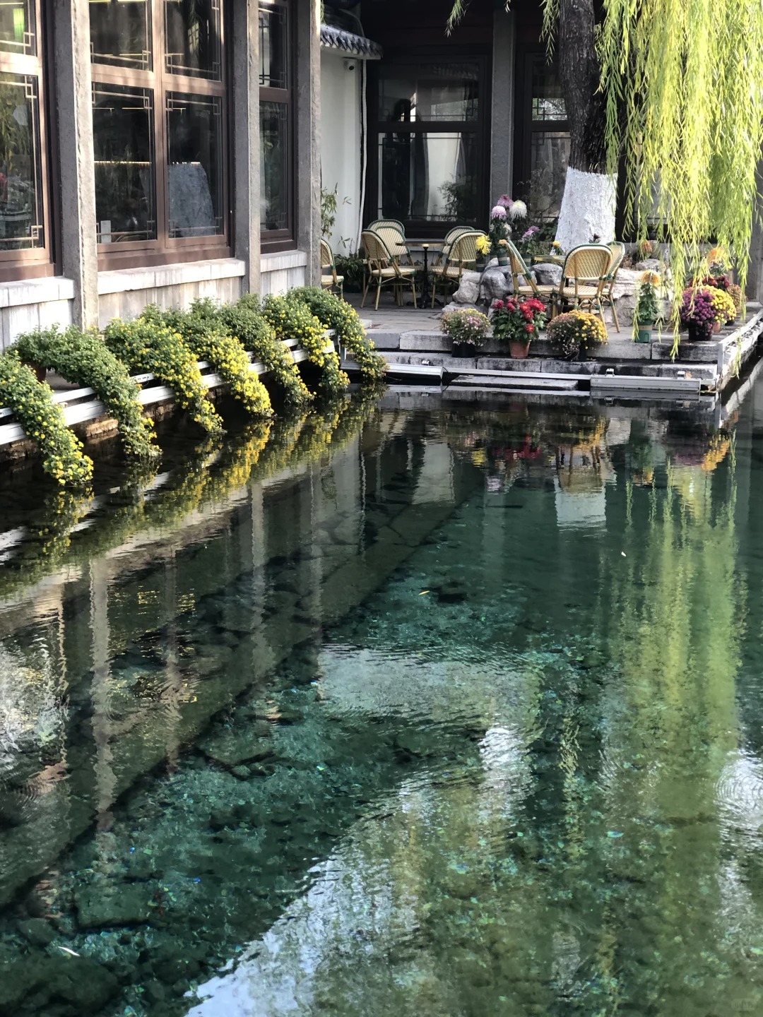 来济南啦 | 在趵突泉看小桥流水人家！