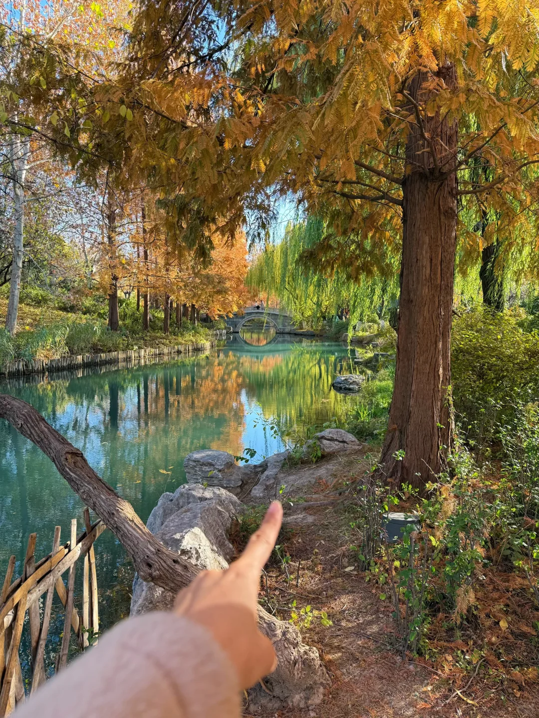 大明湖四象限景色正当时🍂（附位置）