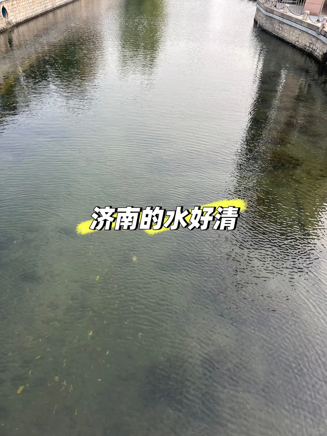 总要来趟老舍笔下的济南吧