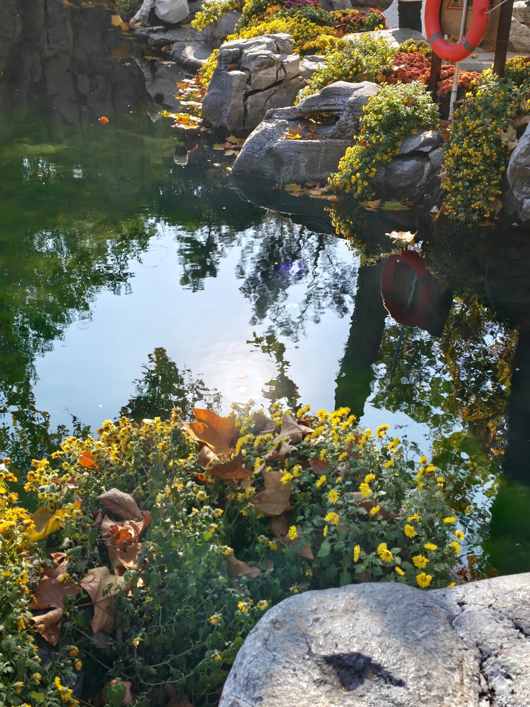 in济南|老舍笔下的城市不需要滤镜