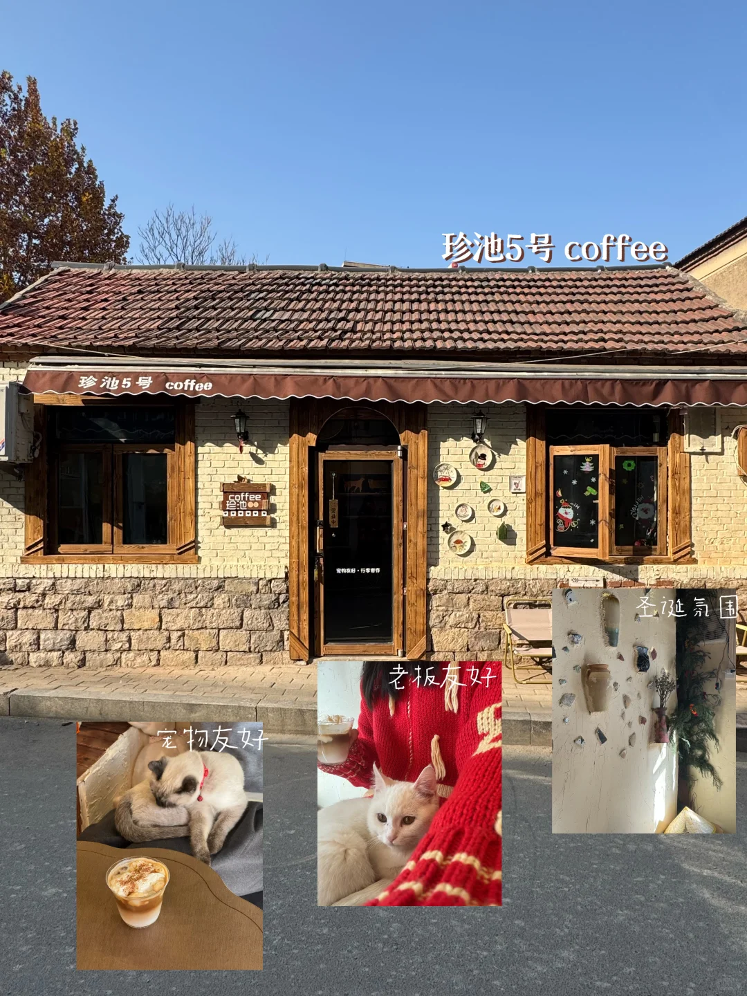 济南非常适合拍照的喵星人咖啡馆🐱