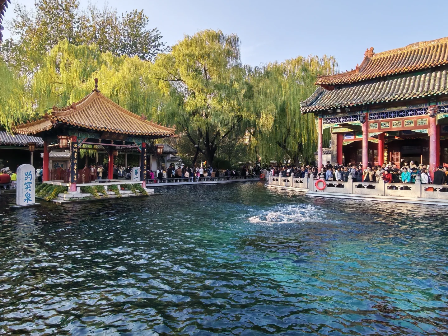 济南的冬天❄️