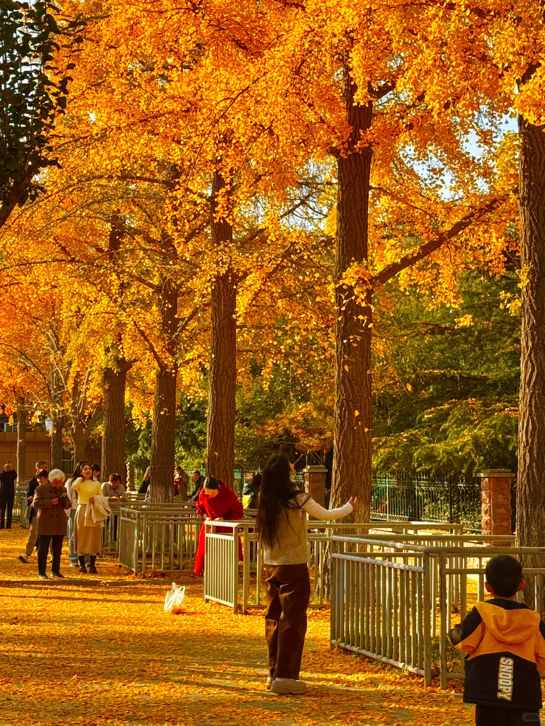 济南今天杀疯了啊！！！！！！！！！！！！！！！！