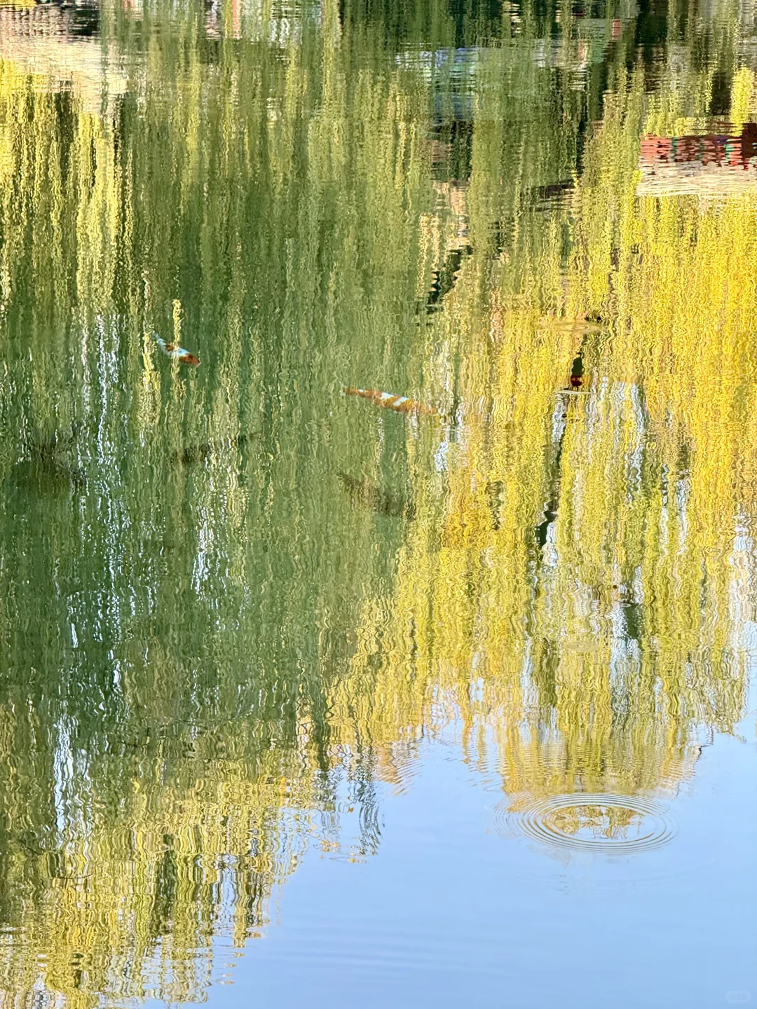 在济南🫧“清泉石上流”具像化了……