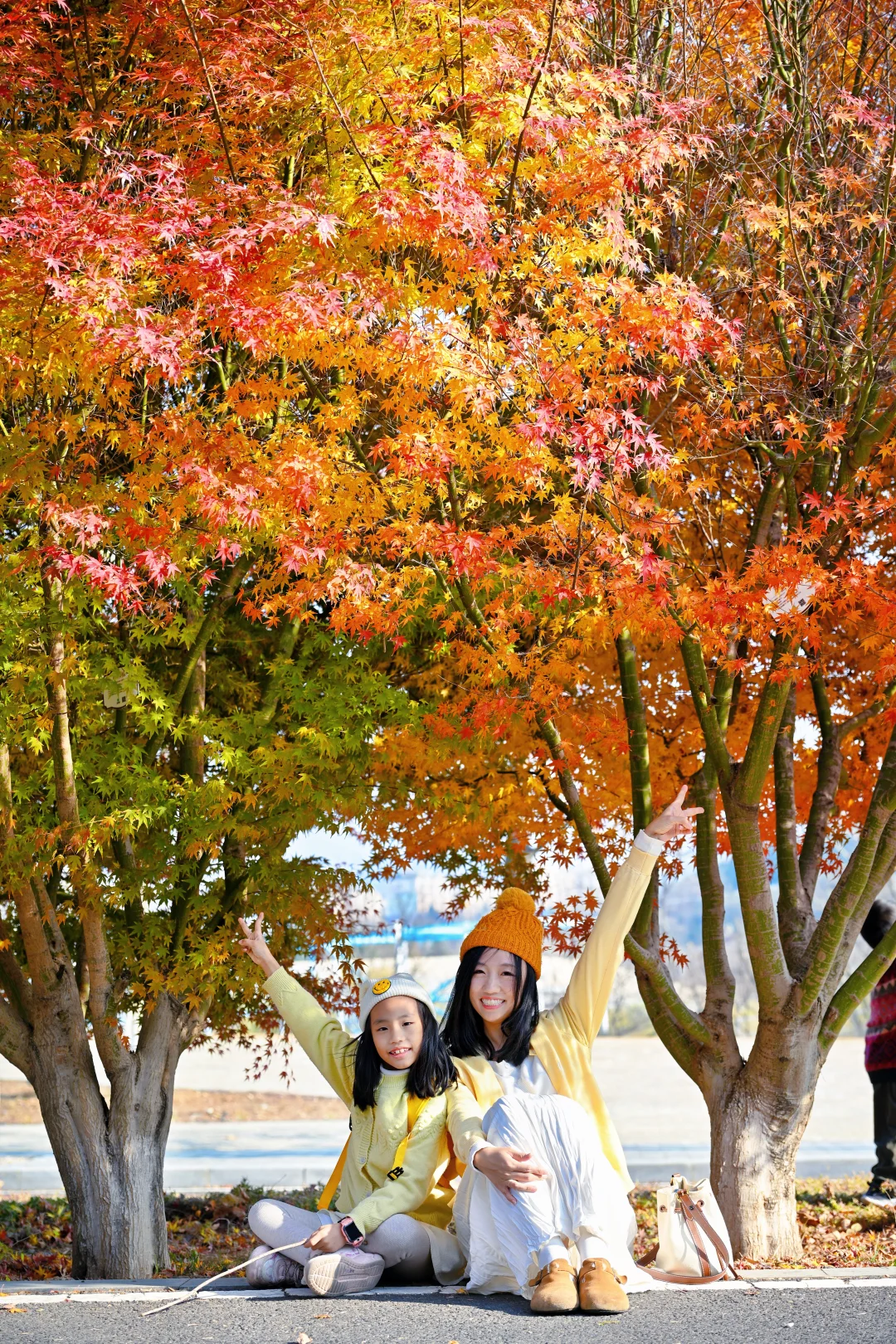 青岛6个此时此刻超美的深秋童话！