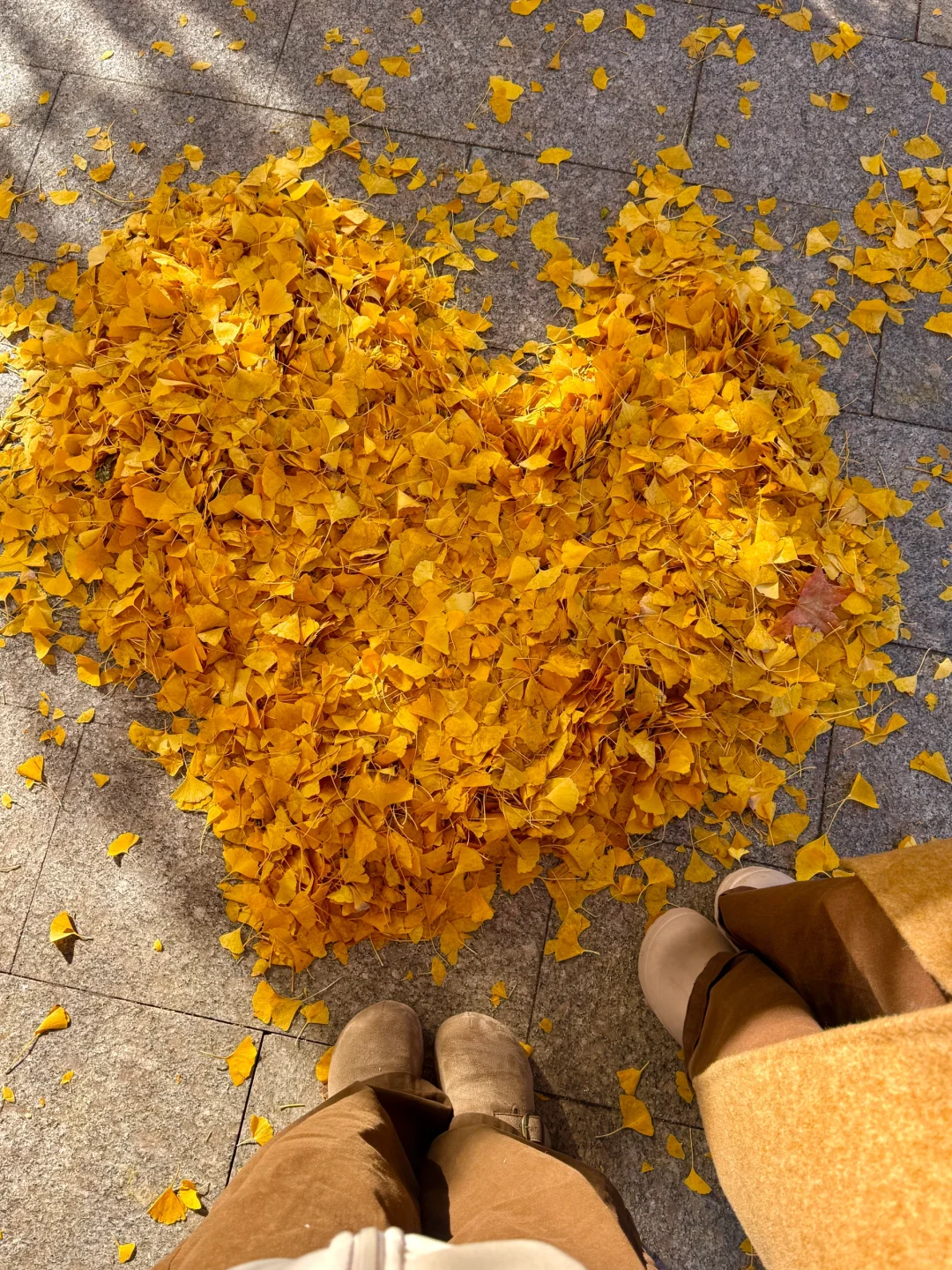 济南今天杀疯了啊！！！！！！！！！！！！！！！！