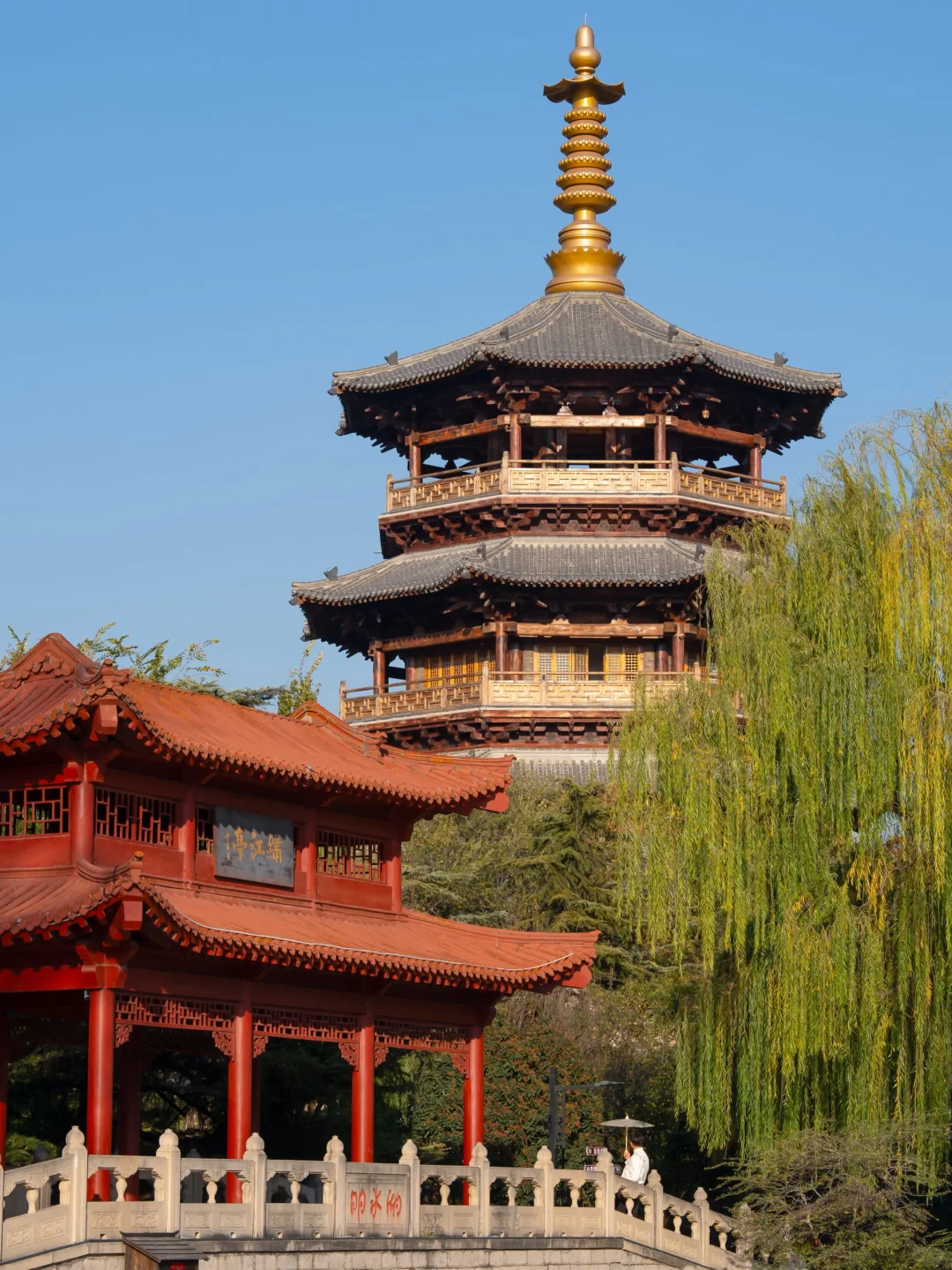 老舍没骗我‼️济南的秋冬不输江南之美