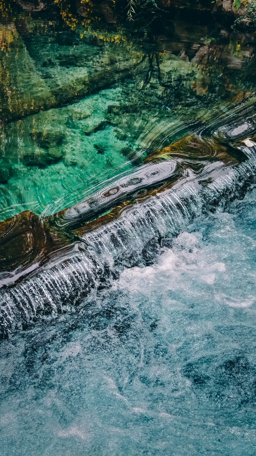 在老舍笔下的济南，拍到了秋日画卷