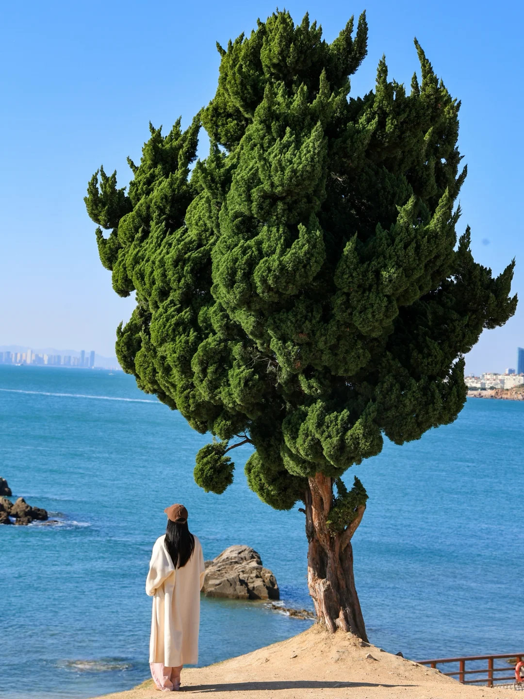 为了这18张照片，专门去了一趟青岛，附路线……