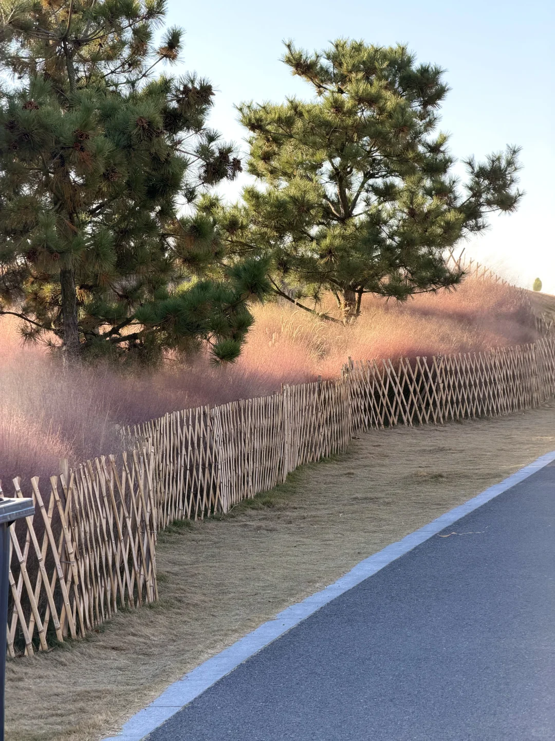 🌊我又又又喜欢上一条青岛冬天sea walk路线