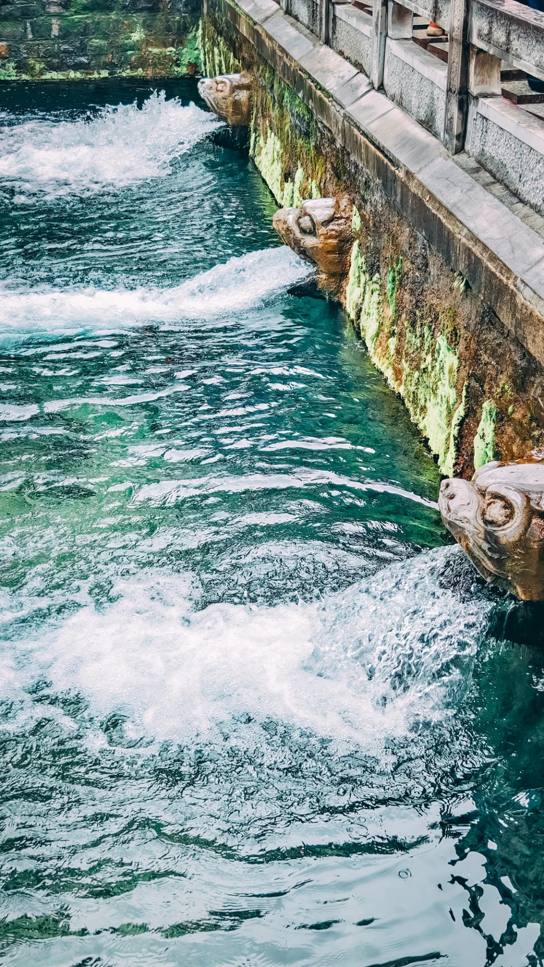 在老舍笔下的济南，拍到了秋日画卷