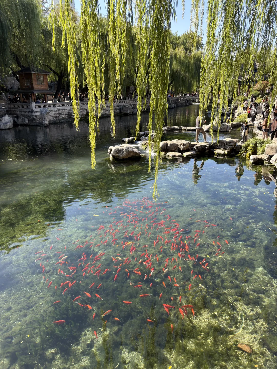 📍济南 曲水亭街🏘️