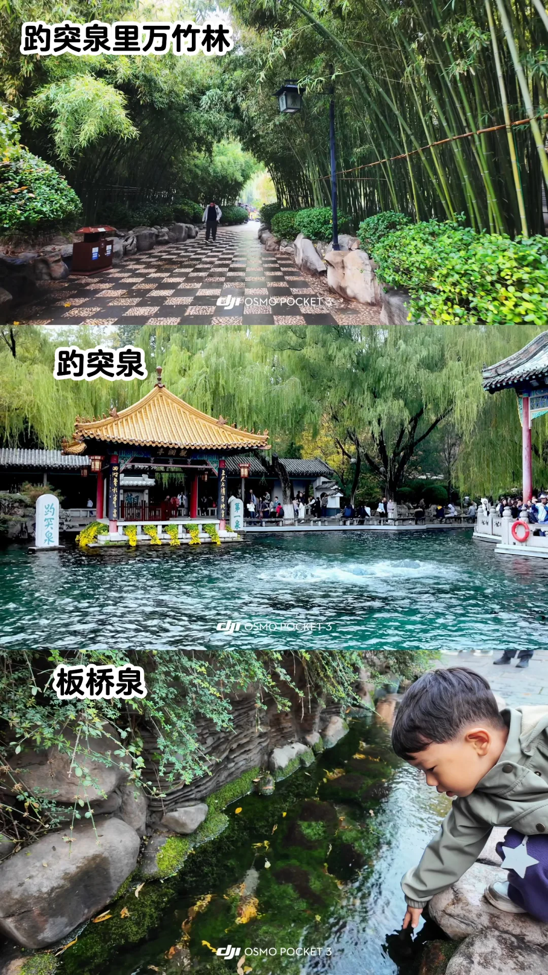 🍂请北京小孩周末都去济南赏秋！行程分享🔛