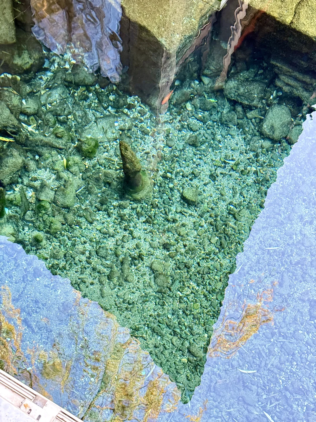 在济南🫧“清泉石上流”具像化了……