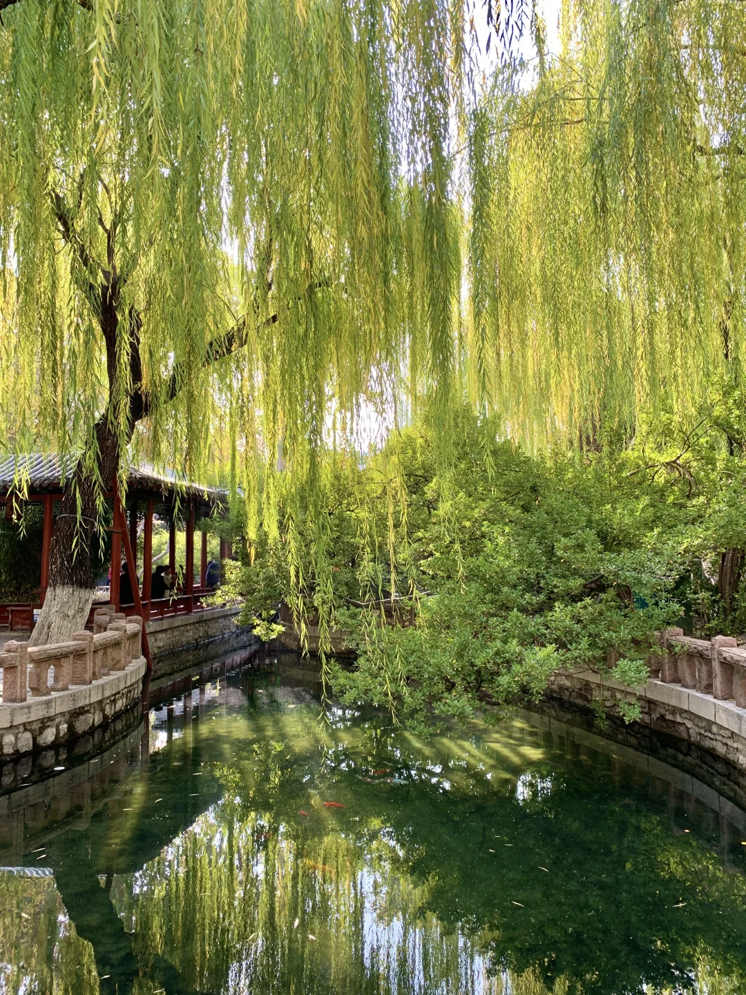 济南的冬天太美丽了