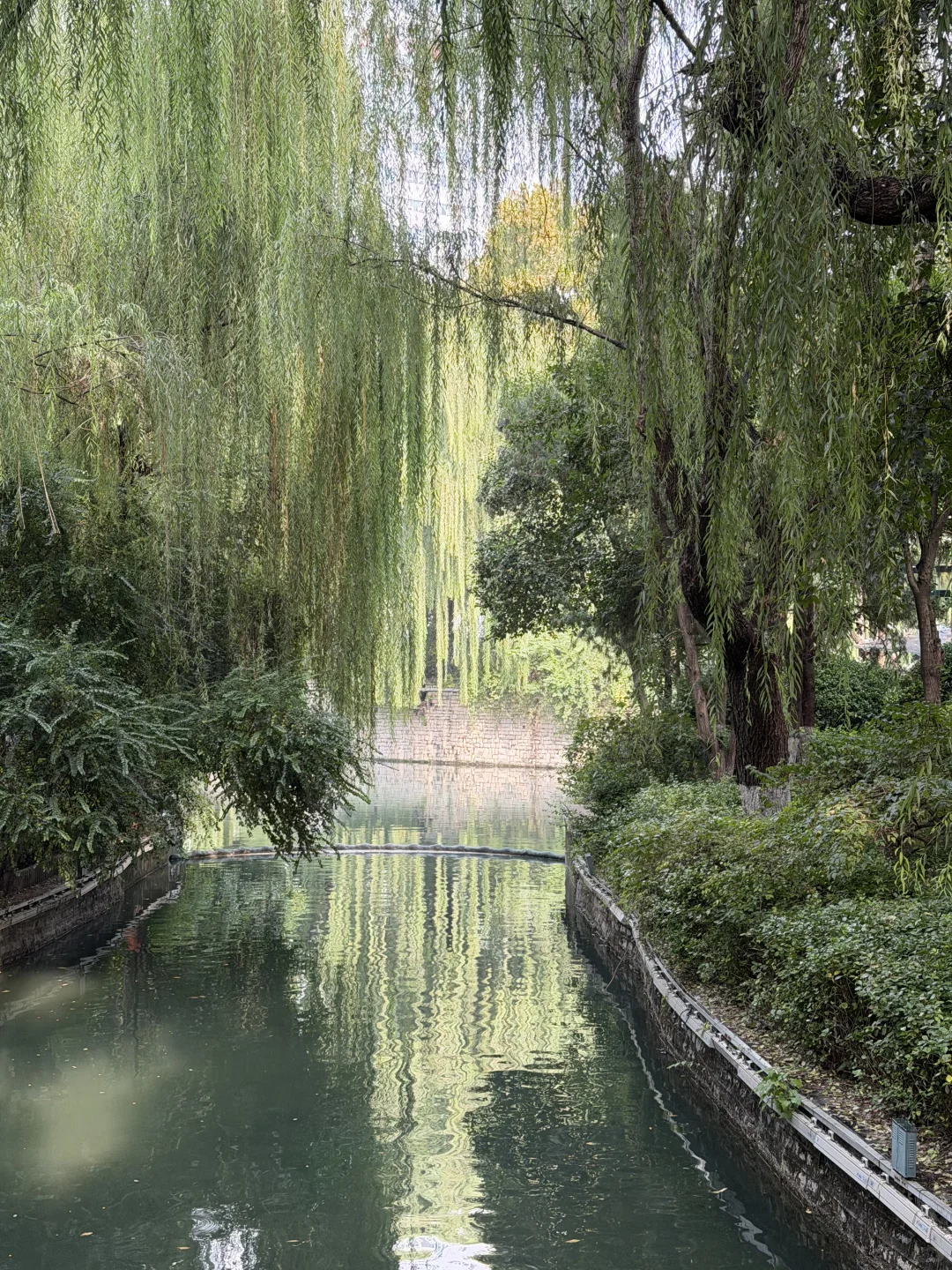 11月，趵突泉最新消息‼️要去济南的赶紧码住