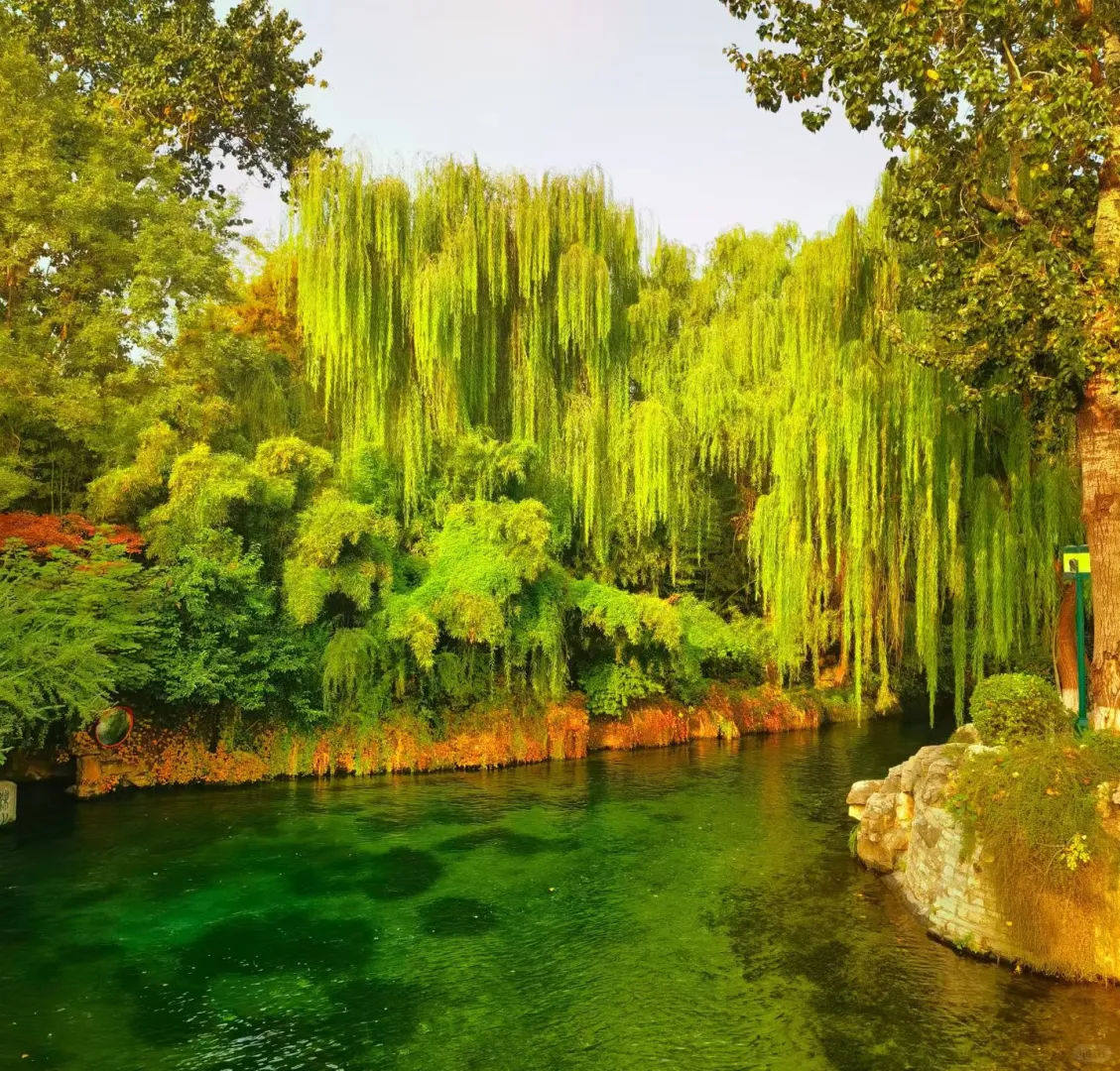 山水间的诗意画卷—趵突泉