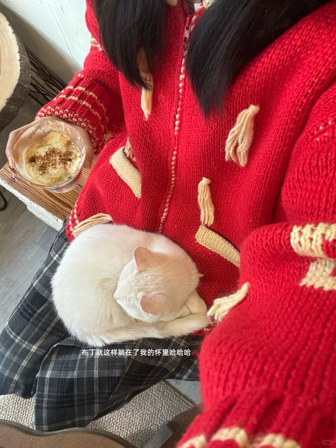 济南非常适合拍照的喵星人咖啡馆🐱