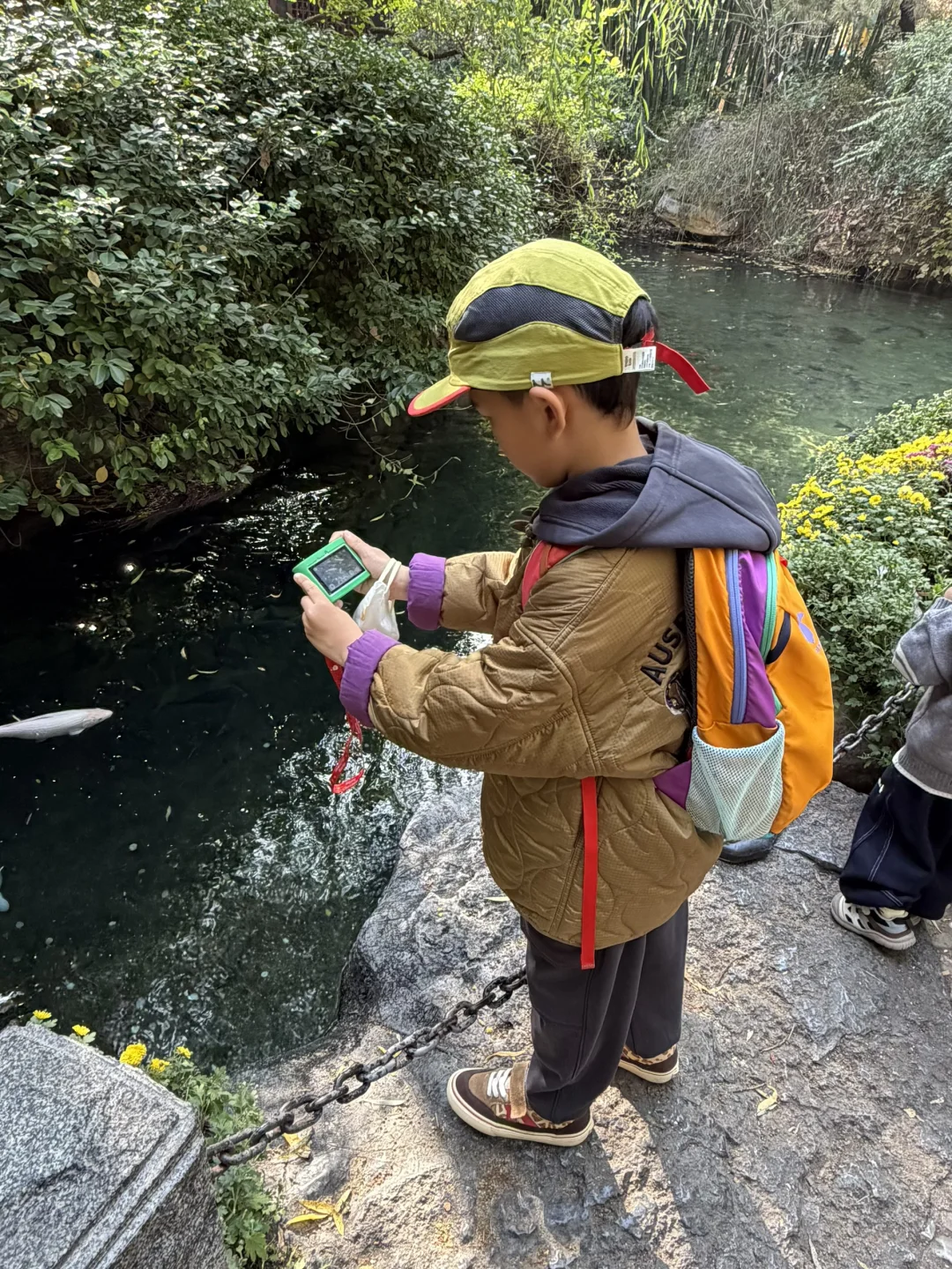 谁还没看趵突泉的菊花展，快去‼️