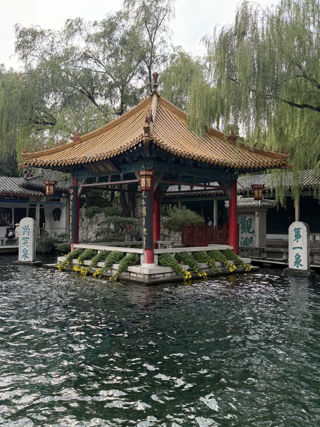 11月，趵突泉最新消息‼️要去济南的赶紧码住