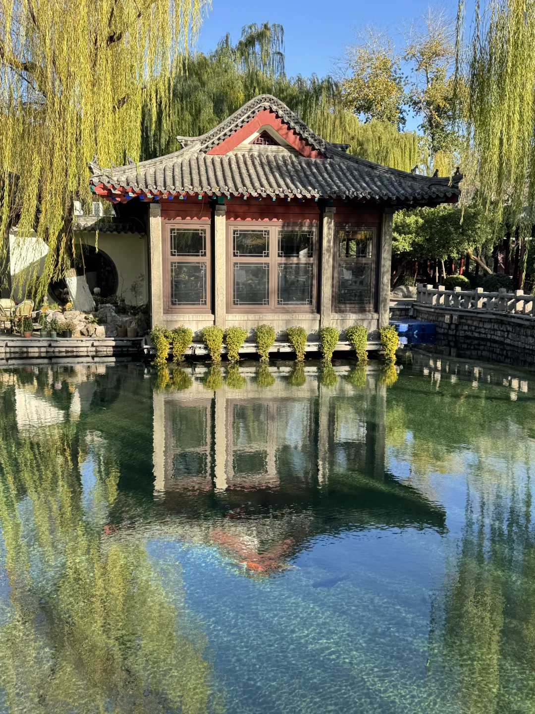 济南Day1，11.27趵突泉