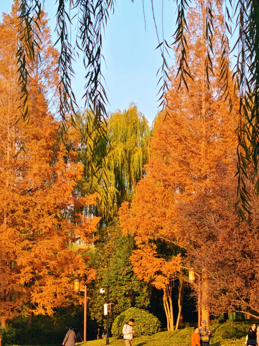 走一趟济南初冬的大明湖